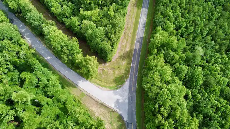 Aerial view of a forest road splitting into two paths