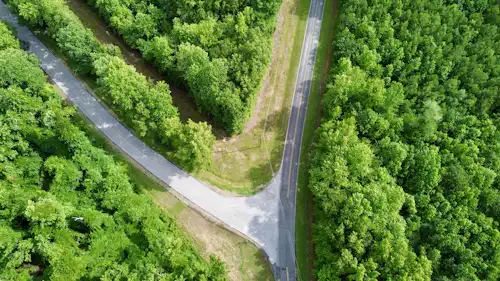 Aerial view of a forest road splitting into two paths